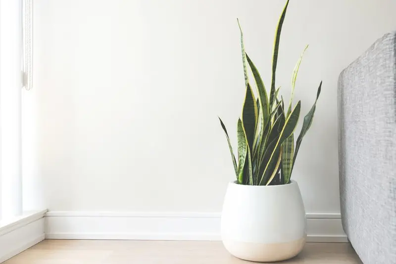 Glossy White Ceramic Planter Pot 1