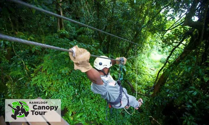 Karkloof Canopy Zip-Line Adventure Tour 1