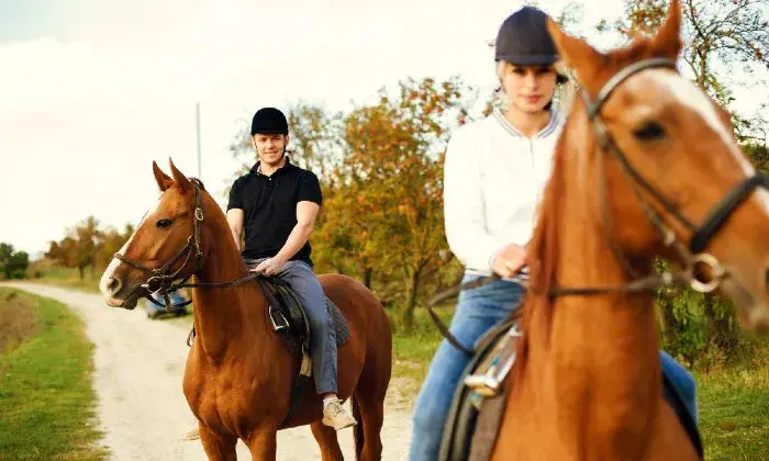 Scenic Horseback Ride With Wine Tasting At Alpha Equestrian 1